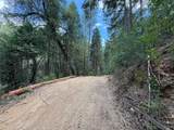 19707 Grizzly Creek Road - Photo 5