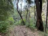 19707 Grizzly Creek Road - Photo 7