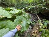 19707 Grizzly Creek Road - Photo 8