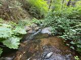 19707 Grizzly Creek Road - Photo 9