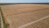 2507 Escalon Bellota Road - Photo 15