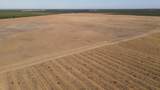 2507 Escalon Bellota Road - Photo 16