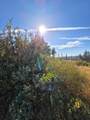 11269 Dawn - Photo 10