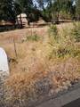 13553 Wichita Drive - Photo 12