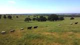 2 Zorro Road - Photo 3