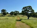 2 Zorro Road - Photo 4