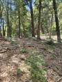 15555 Buckeye Ridge Road - Photo 5