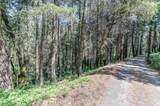 21670 Clute Canyon Road - Photo 11