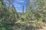 21670 Clute Canyon Road - Photo 13
