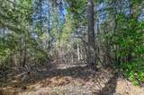 21670 Clute Canyon Road - Photo 6