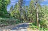 21670 Clute Canyon Road - Photo 9