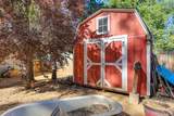 5520 Begonia Drive - Photo 38