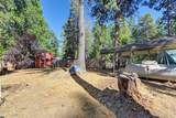 5520 Begonia Drive - Photo 40