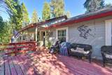 5520 Begonia Drive - Photo 47