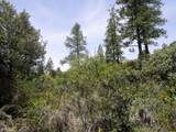 24271 Hoyt Crossing Road - Photo 13