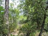 24271 Hoyt Crossing Road - Photo 14
