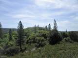 24271 Hoyt Crossing Road - Photo 2