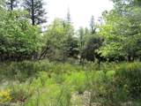 24271 Hoyt Crossing Road - Photo 20