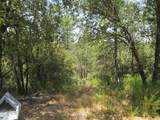 24271 Hoyt Crossing Road - Photo 25