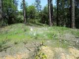 24271 Hoyt Crossing Road - Photo 4