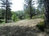 24271 Hoyt Crossing Road - Photo 6