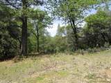24271 Hoyt Crossing Road - Photo 8