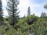 24271 Hoyt Crossing Road - Photo 9