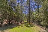 22500 Canyon Way - Photo 1