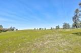 13012 Highway 124 - Photo 15