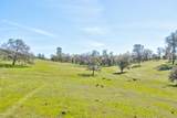 13012 Highway 124 - Photo 16