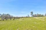 13012 Highway 124 - Photo 17