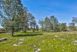 13012 Highway 124 - Photo 21