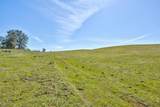 13012 Highway 124 - Photo 24