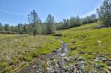 13012 Highway 124 - Photo 29