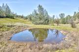 13012 Highway 124 - Photo 35