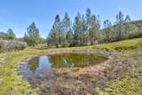 13012 Highway 124 - Photo 36