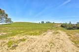 13012 Highway 124 - Photo 7