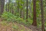 0 Mtn. Dew Lane - Photo 20