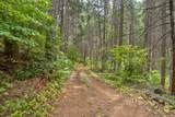 0 Mtn. Dew Lane - Photo 21
