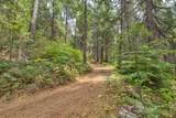 0 Mtn. Dew Lane - Photo 22