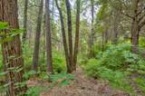 0 Mtn. Dew Lane - Photo 34