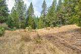 0 Mtn. Dew Lane - Photo 36