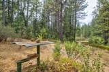 0 Mtn. Dew Lane - Photo 37