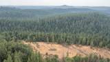 0 Mtn. Dew Lane - Photo 47