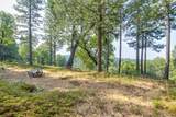 0 Mtn. Dew Lane - Photo 9