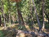 10680 Success Cross Road - Photo 8