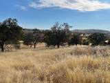 0 Pepito Drive - Photo 7