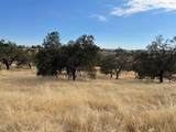0 Pepito Drive - Photo 8