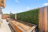 4941 Concordia Drive - Photo 59