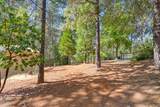 1920 Hidden Ridge Way - Photo 51